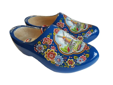 Houten schoenen blauwe bloemen