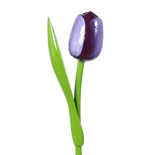 Wooden Tulip, Aubergine White