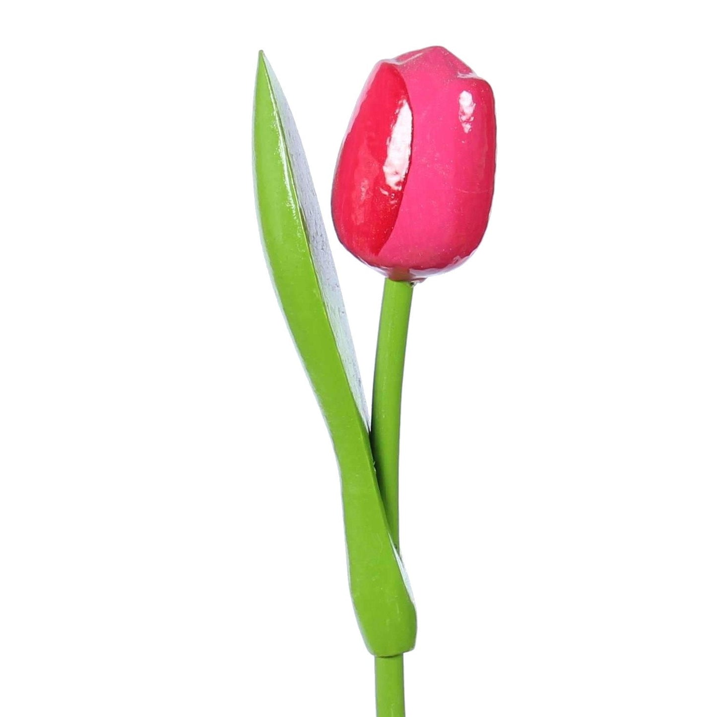 Wooden Tulip, Pink Red