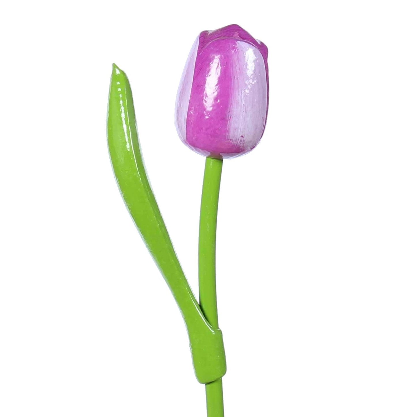 Wooden Tulip, Purple White