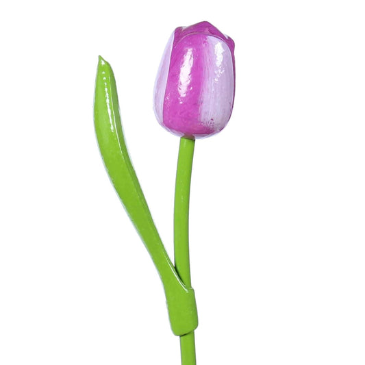 Wooden Tulip, Purple White