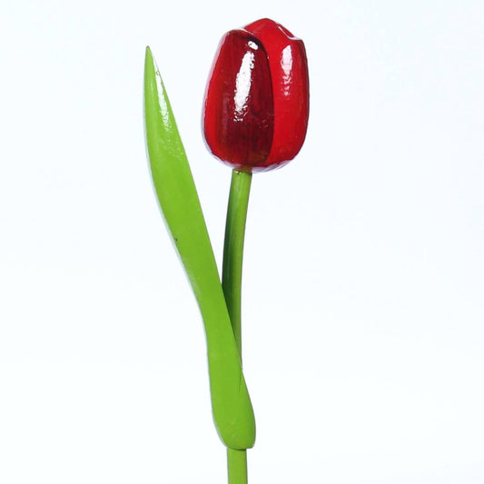 Wood Tulip, Red Aubergine