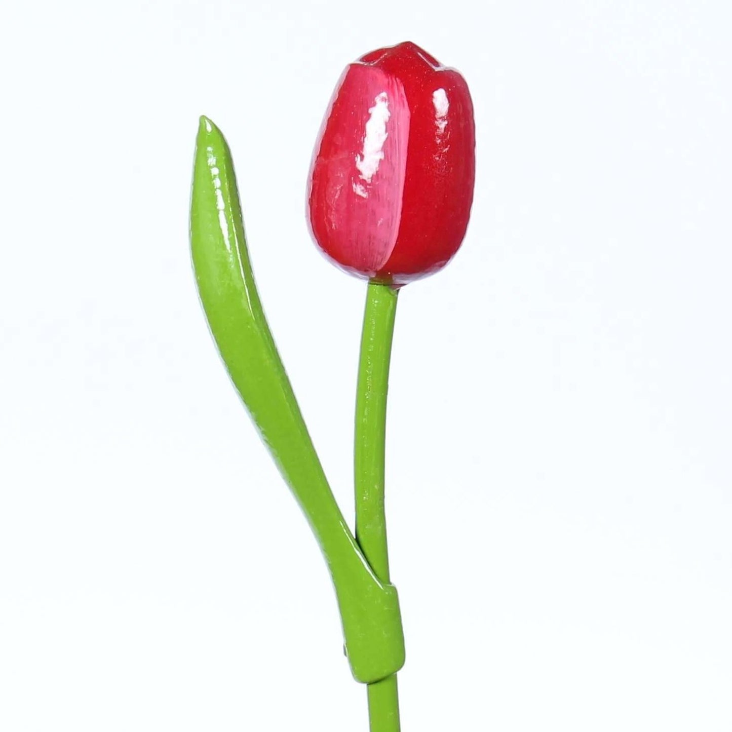 Wooden Tulip, Red White