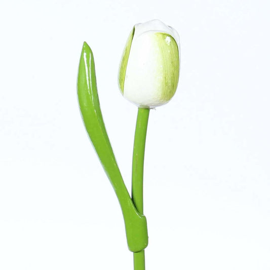 Wooden Tulip, White Green