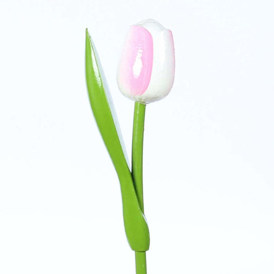 Wooden Tulip, White Pink
